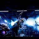Help Sweet Ascent Play Vans Warped Tour!